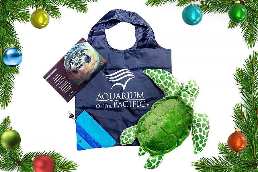 aquarium tote bag with sea turtle plush and certificate